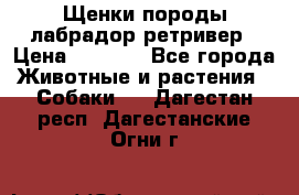 Щенки породы лабрадор ретривер › Цена ­ 8 000 - Все города Животные и растения » Собаки   . Дагестан респ.,Дагестанские Огни г.